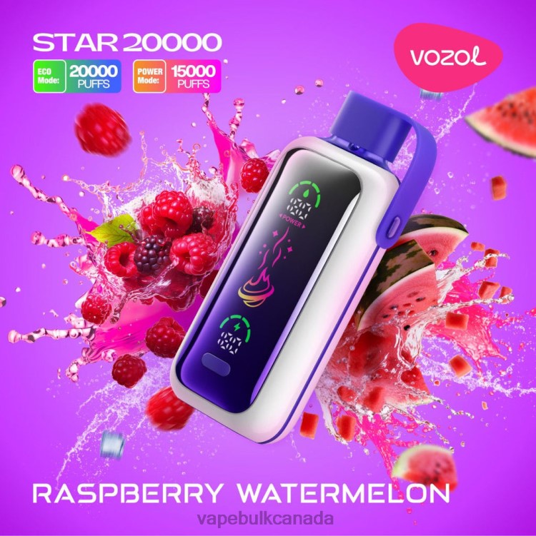 Vape Wholesale Supplier Canada - VOZOL STAR 20000 BZ64419 RASPBERRY WATERMELON