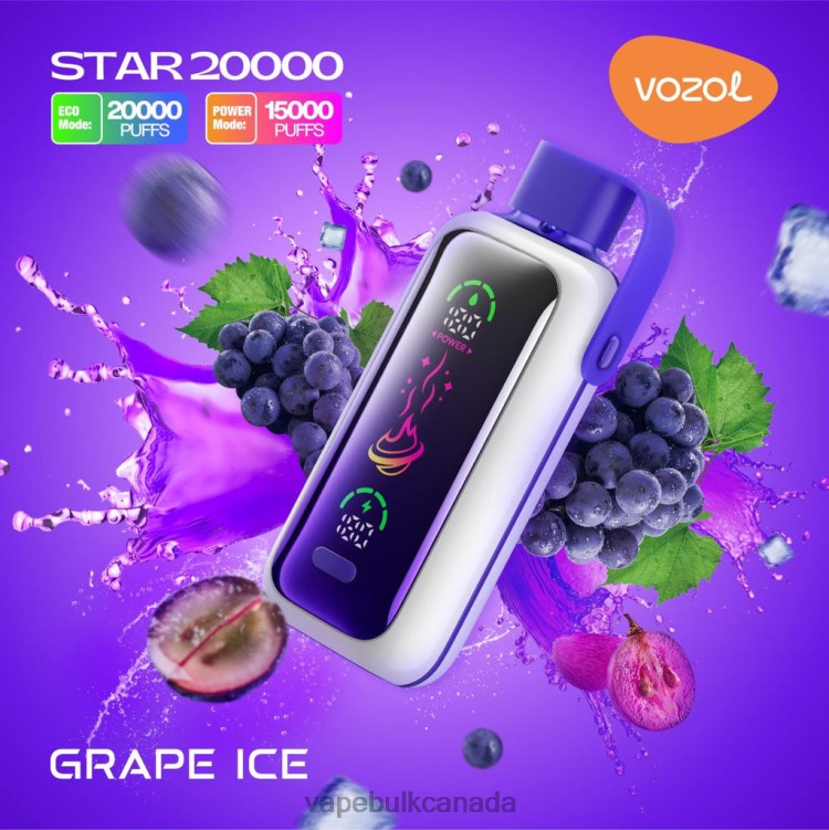 Vape Wholesale Supplier Canada - VOZOL STAR 20000 BZ6449 GRAPE ICE