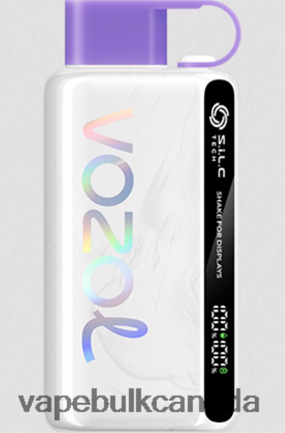 466BLN13 Grape Ice - Vape Bulk Canada VOZOL STAR 9000/12000 5%