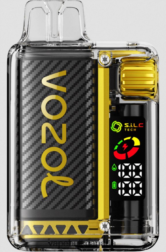 466BLN10 Mango Ice - Ghost Vape Wholesale Canada VOZOL VISTA 16000/20000 5%
