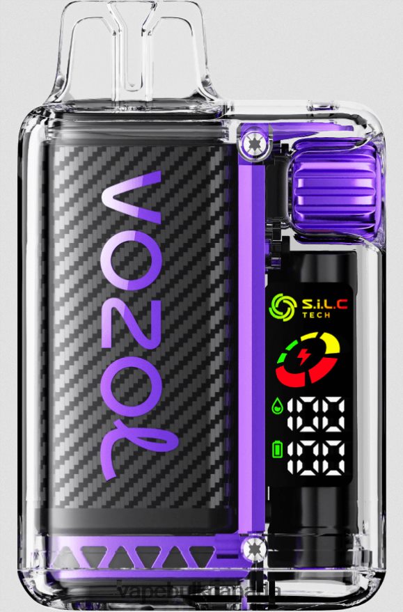466BLN11 Mixed Berries - E Cigarette Wholesale VOZOL VISTA 16000/20000 5%