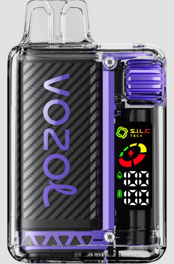 466BLN12 Grape Ice - Vape Wholesale Canada VOZOL VISTA 16000/20000 5%