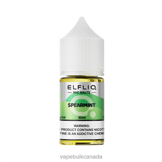 Vape Wholesale Supplier Canada - ELFBAR ELFLIQ nic salt 30ml SPEARMINT 6P6DF29
